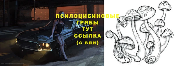 гидропоника Корсаков