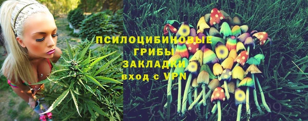 apvp Коряжма