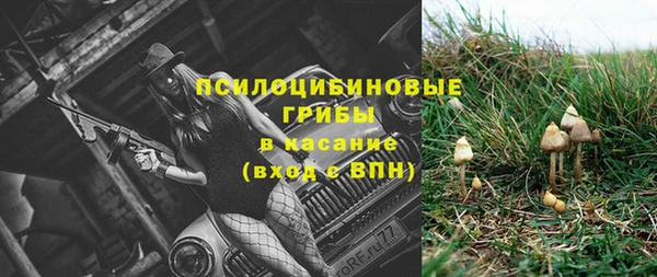 гидропоника Корсаков