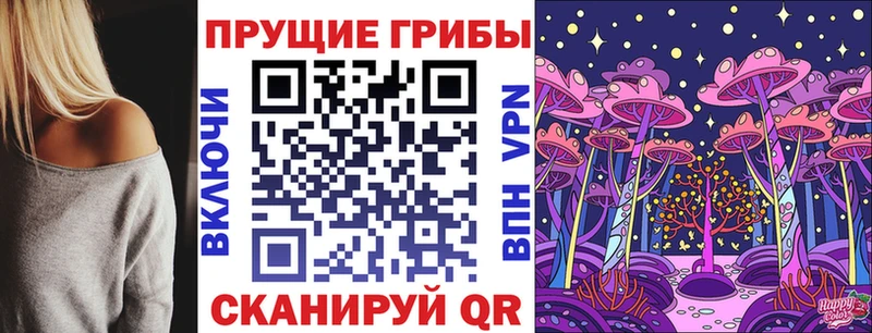 Галлюциногенные грибы Psilocybe  Черепаново 