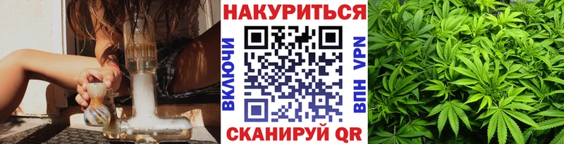 Конопля план  Черепаново 